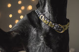 Add Name to Dog Collar - Add-On Listing Only