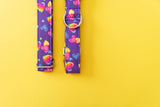 Rainbow Hearts 90s Dog Collar