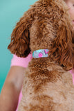 Retro 80s/90s Geometric Dog Collar