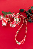 Charlotte Plaid Endurance Leash