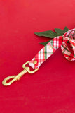 Charlotte Plaid Endurance Leash