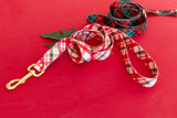 Charlotte Plaid Endurance Leash