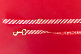 Peppermint Stripe Endurance Leash