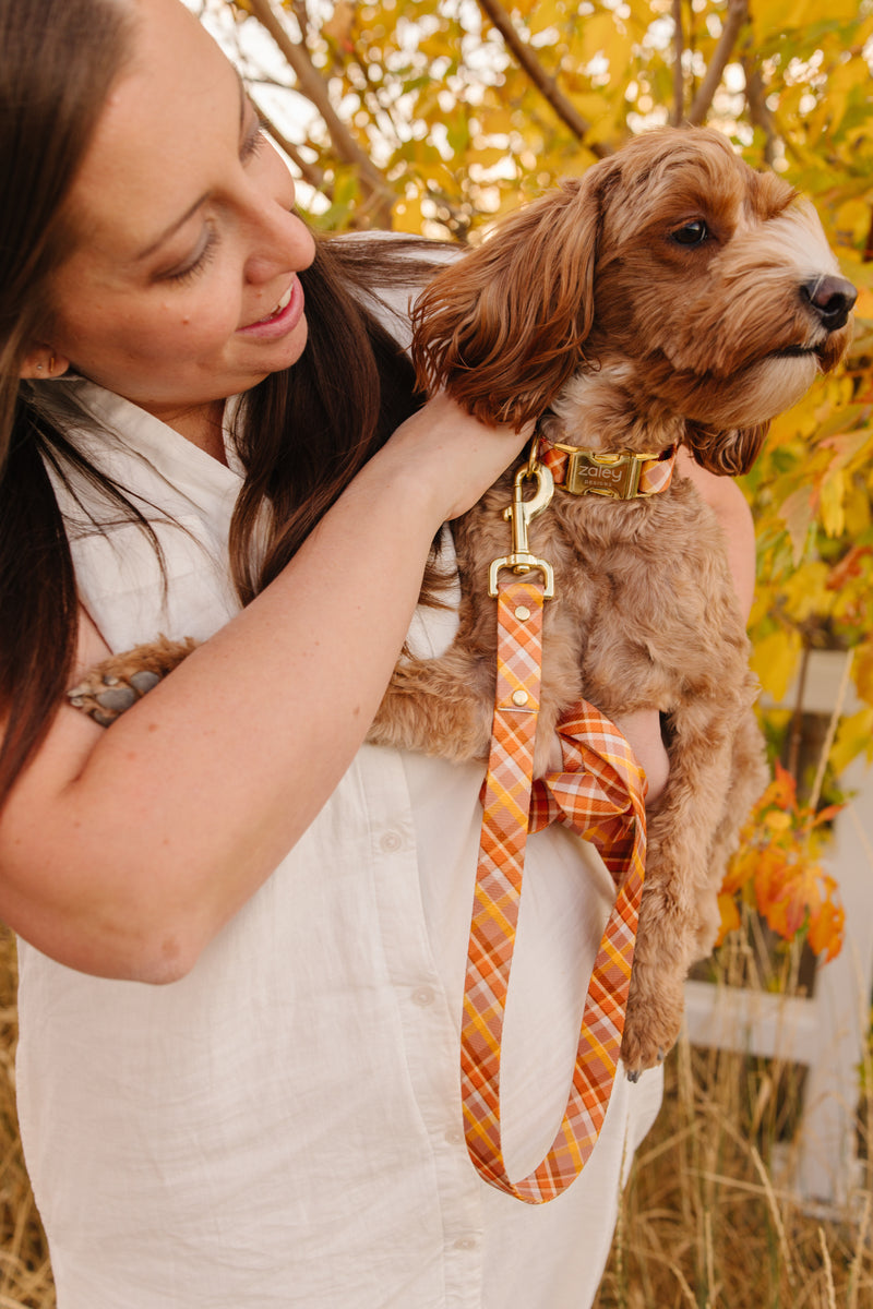 Peanut Plaid Endurance Leash – Zaley Designs