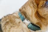 Teal Glitter Dog Collar
