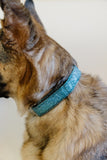 Teal Glitter Dog Collar