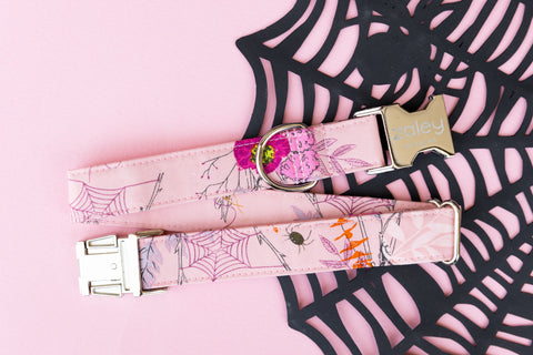 Pink Spider Webs Dog Collar *limited quantity*