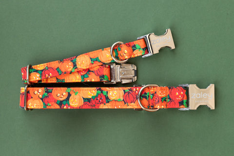 Vintage Jack-O'-Lantern Dog Collar