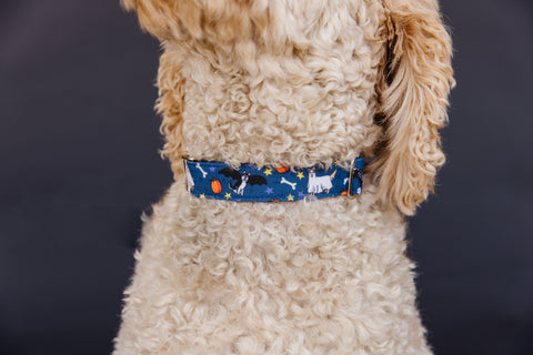 Dogs in Costume Dog Collar