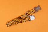 Orange and Black Bats Dog Collar