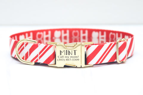 Peppermint Stripe Endurance Dog Collar