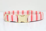 Valentines Stripe Dog Collar