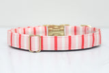 Valentines Stripe Dog Collar