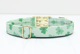 St. Patrick's Day Smiles Dog Collar