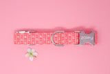 Vintage Floral Stripe Dog Collar