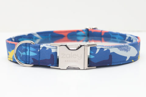 New Sharks Dog Collar