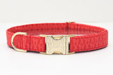 Lobsters Dog Collar