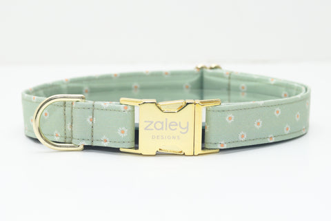 Sage Green Daisies Dog Collar