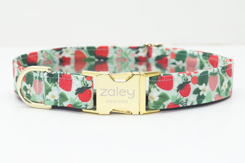 Strawberries Dog Collar