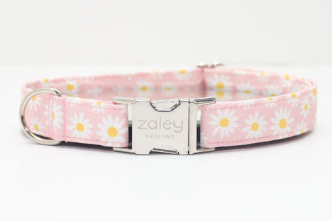 Pink Daisies Dog Collar