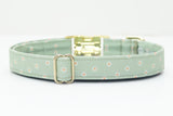 Sage Green Daisies Dog Collar