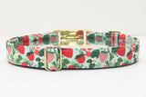Strawberries Dog Collar