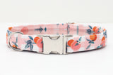 Gingham Peaches Dog Collar