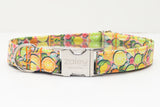 Citrus Fruit Dog Collar