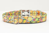 Citrus Fruit Dog Collar