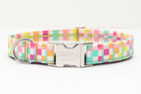 Neon Checkered Dog Collar