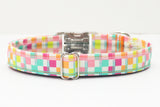 Neon Checkered Dog Collar