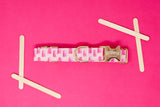 Pink Popsicles Dog Collar