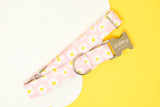 Pink Daisies Dog Collar