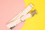 Pink Daisies Dog Collar