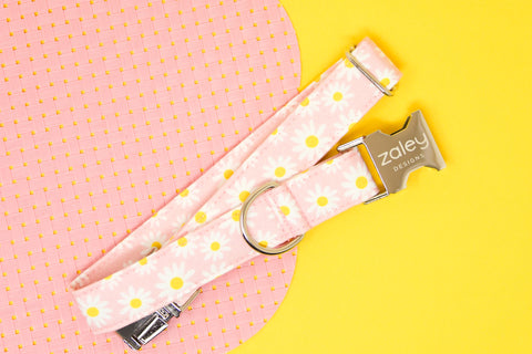 Pink Daisies Dog Collar
