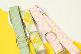 Pink Daisies Dog Collar