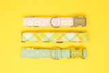 Pink Daisies Dog Collar