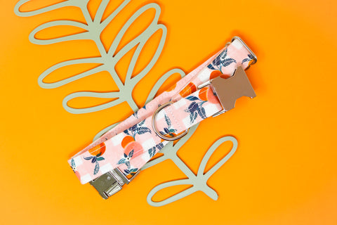 Gingham Peaches Dog Collar