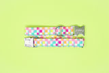 Neon Checkered Dog Collar