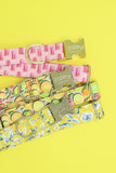 Citrus Fruit Dog Collar