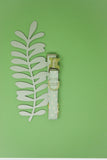 Sage Green Daisies Dog Collar