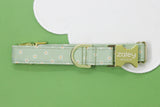 Sage Green Daisies Dog Collar