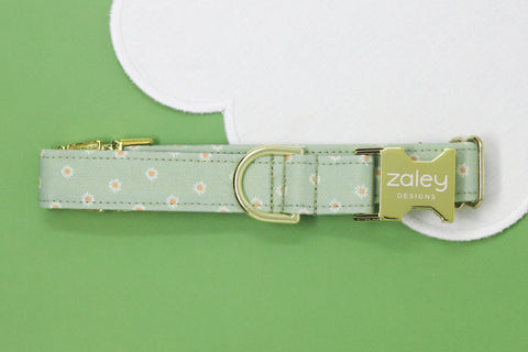 Sage Green Daisies Dog Collar