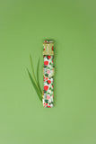 Strawberries Dog Collar