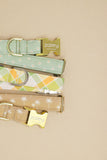 Citrus & Olive Plaid Dog Collar