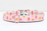 Pink and Orange Pumpkins Dog Collar