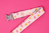 Pink and Orange Pumpkins Dog Collar