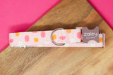 Pink and Orange Pumpkins Dog Collar