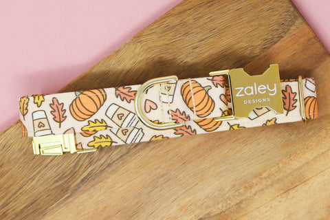 Pumpkin Spice Dog Collar