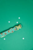 Green Football Dog Collar